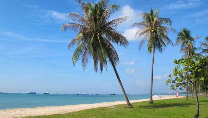 Singapore The Most Visited Destination-Changi Sea Beach