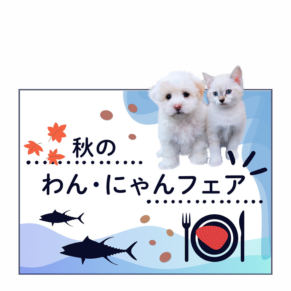 秋のわん・にゃんフェア!