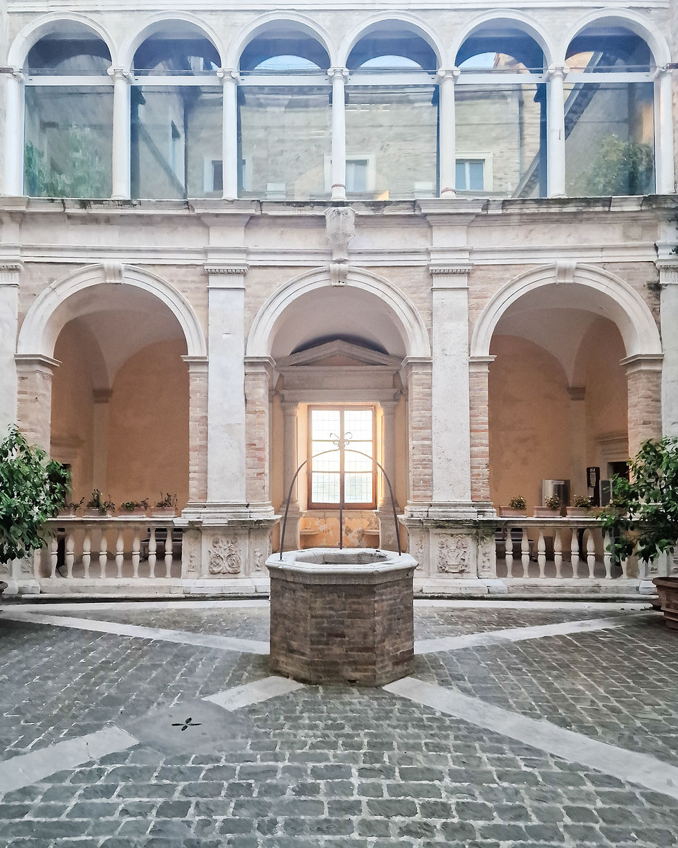 Backyard in Fermo Italy