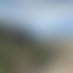 Steph's Spotlight: It's Hiking Season and Arcadia Has Some of the Best Hiking Adventures in Phoenix