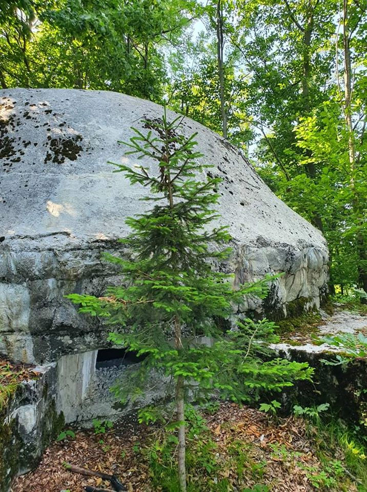 Ejemplo búnker cercano