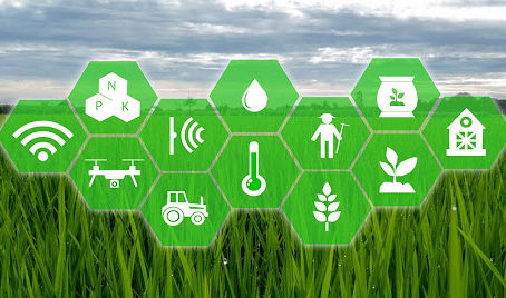 How AI will play a key role in India's agricultural development: Nasscom EY report