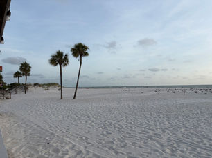 July 10th Beach Ordinance Ideas