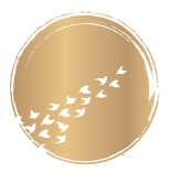 cercle-or-transparent.png