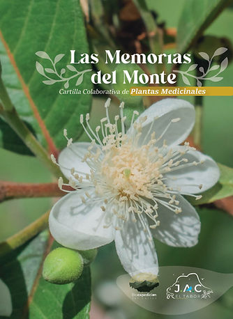 plantas-tabor.jpg