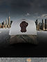 Untitled design (2)_edited.jpg