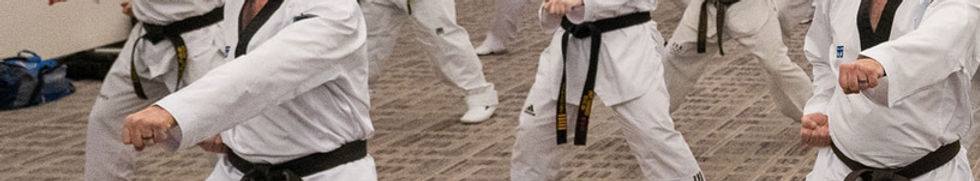 Taekwondo-Master-Course-40ss.jpg