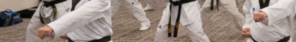 Taekwondo-Master-Course-40ss.jpg