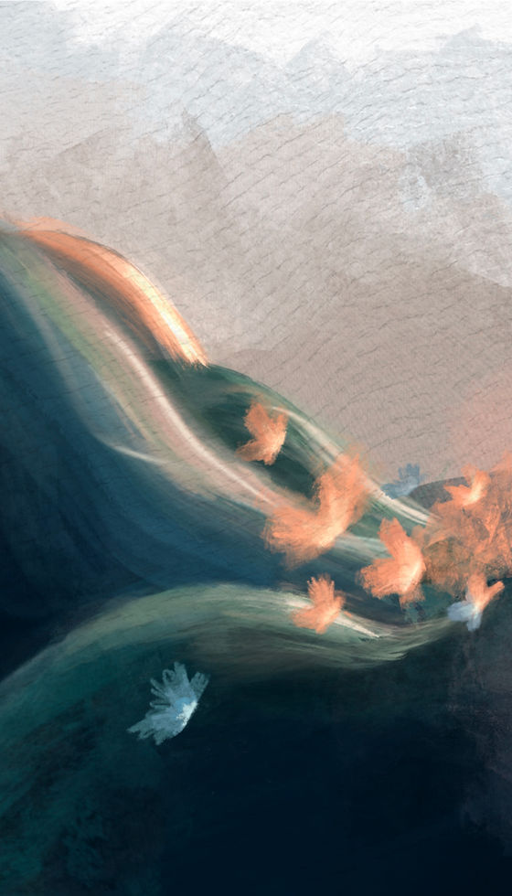 Final Cover Front.jpg