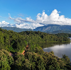 DJI_20231114163314_0016_D.JPG