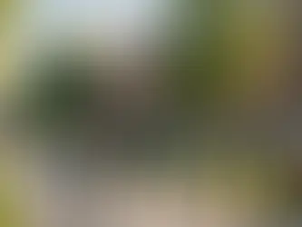 Understanding 529 College Savings Plans