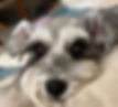 foto-bubu-2.jpg