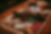 Season and Supply-1015 copy.jpg
