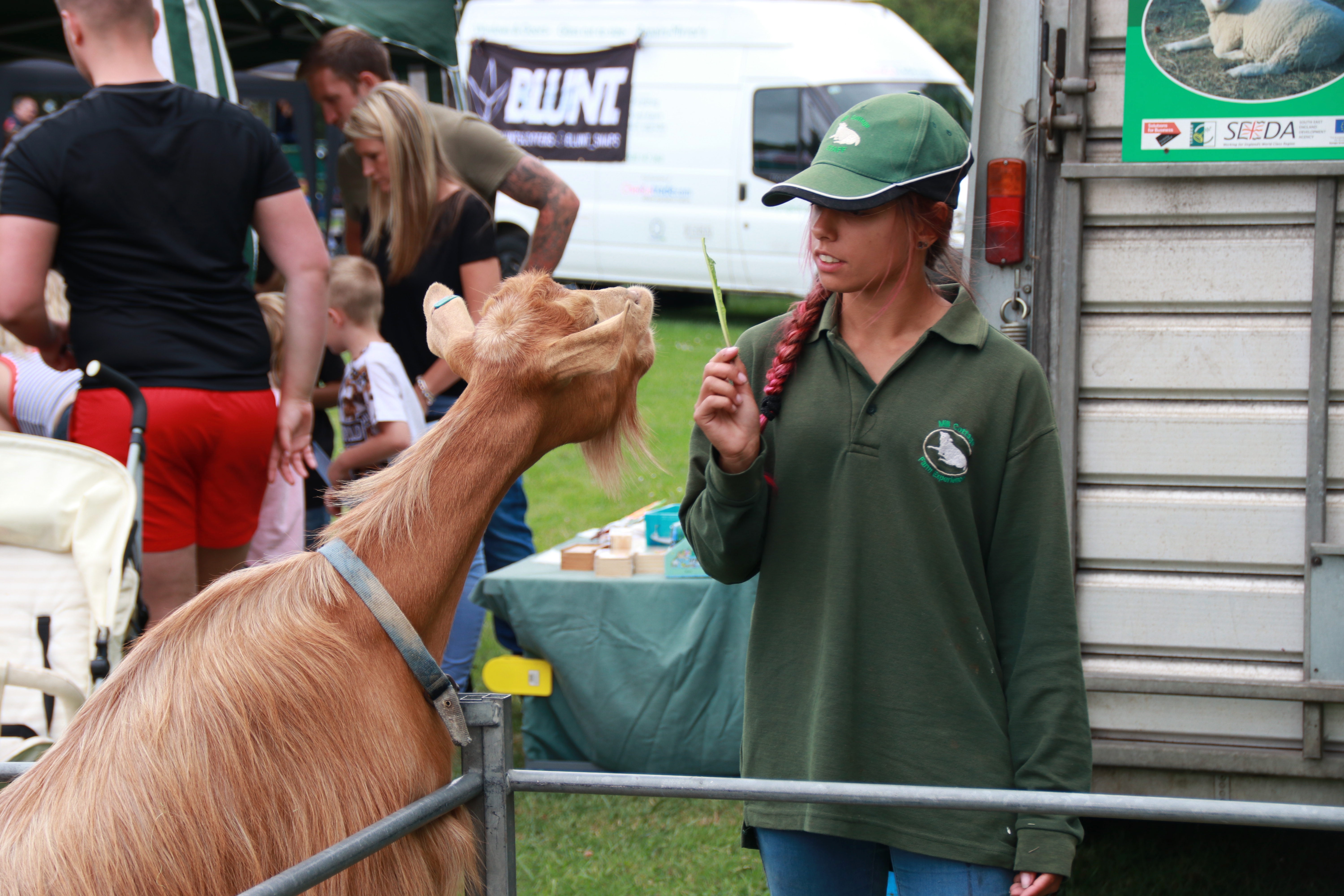 Mill Cottage Farm Experience
