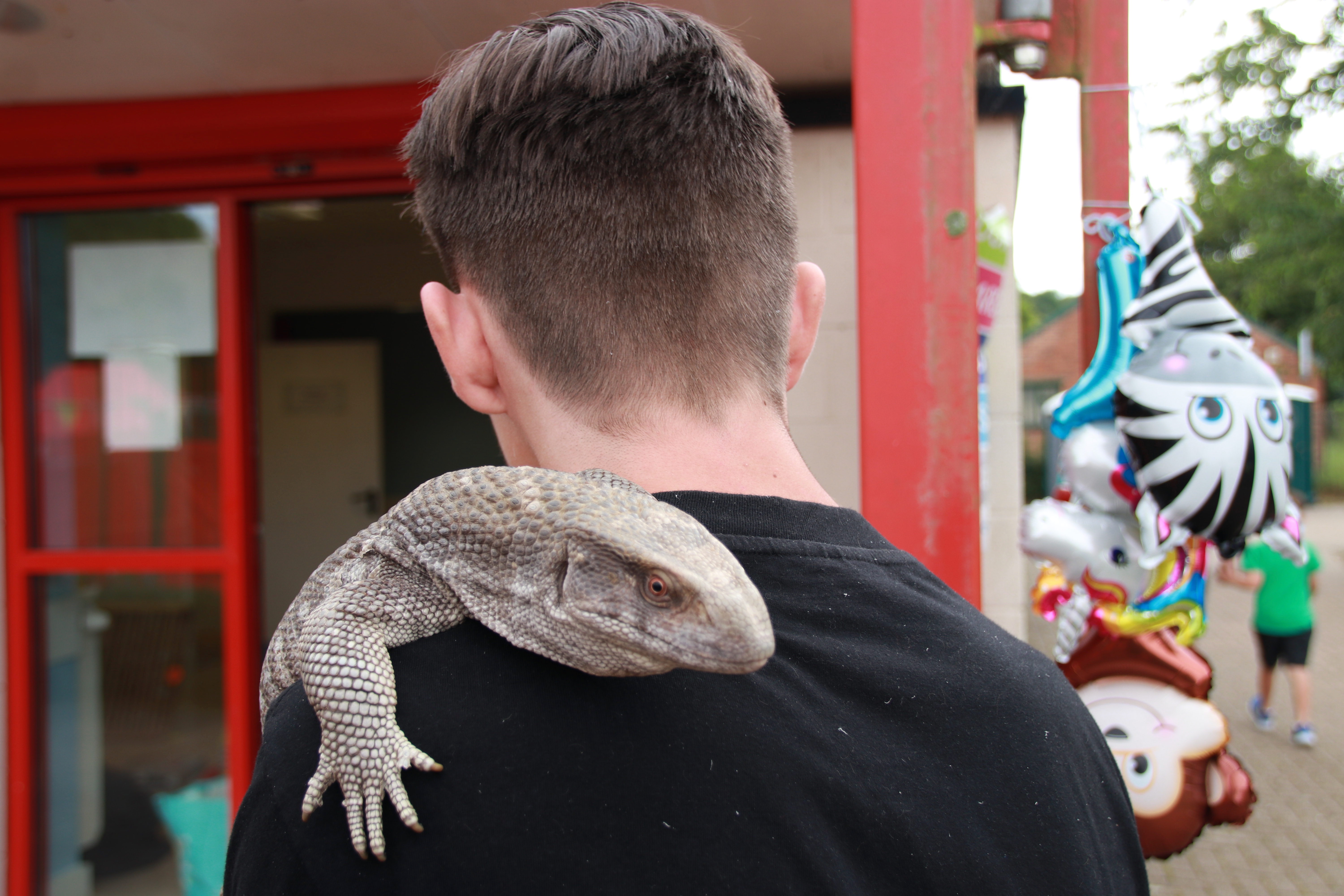 There be dragons