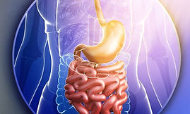 advanced gastro care