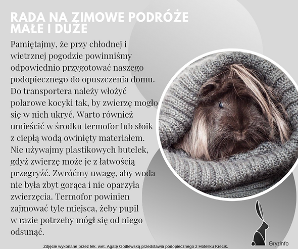 gryzinfo(2).png