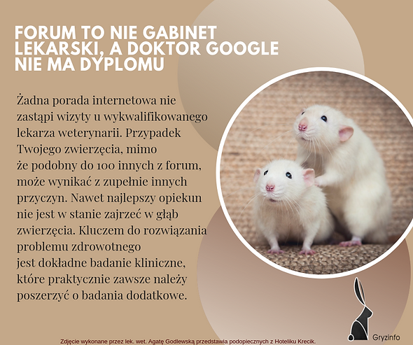 gryzinfo(1) (1).png