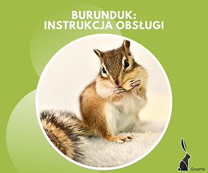 instrukcja burunduk.png