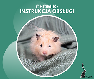 instrukcja chomik.png