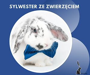 g sylwester guzik.png
