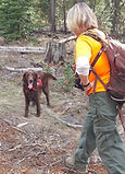 sar dog k9 team 1.jpeg