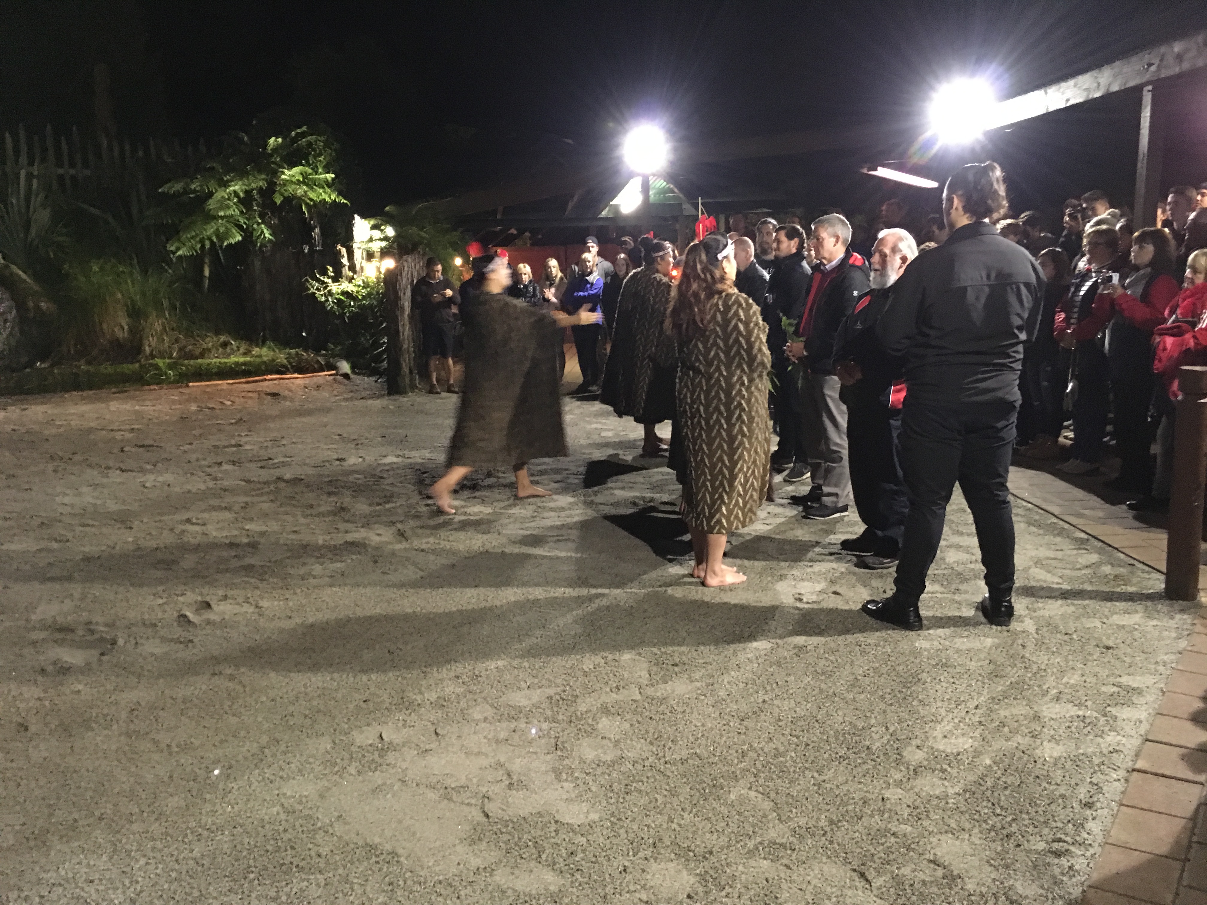 Silver Fern Tour 2017