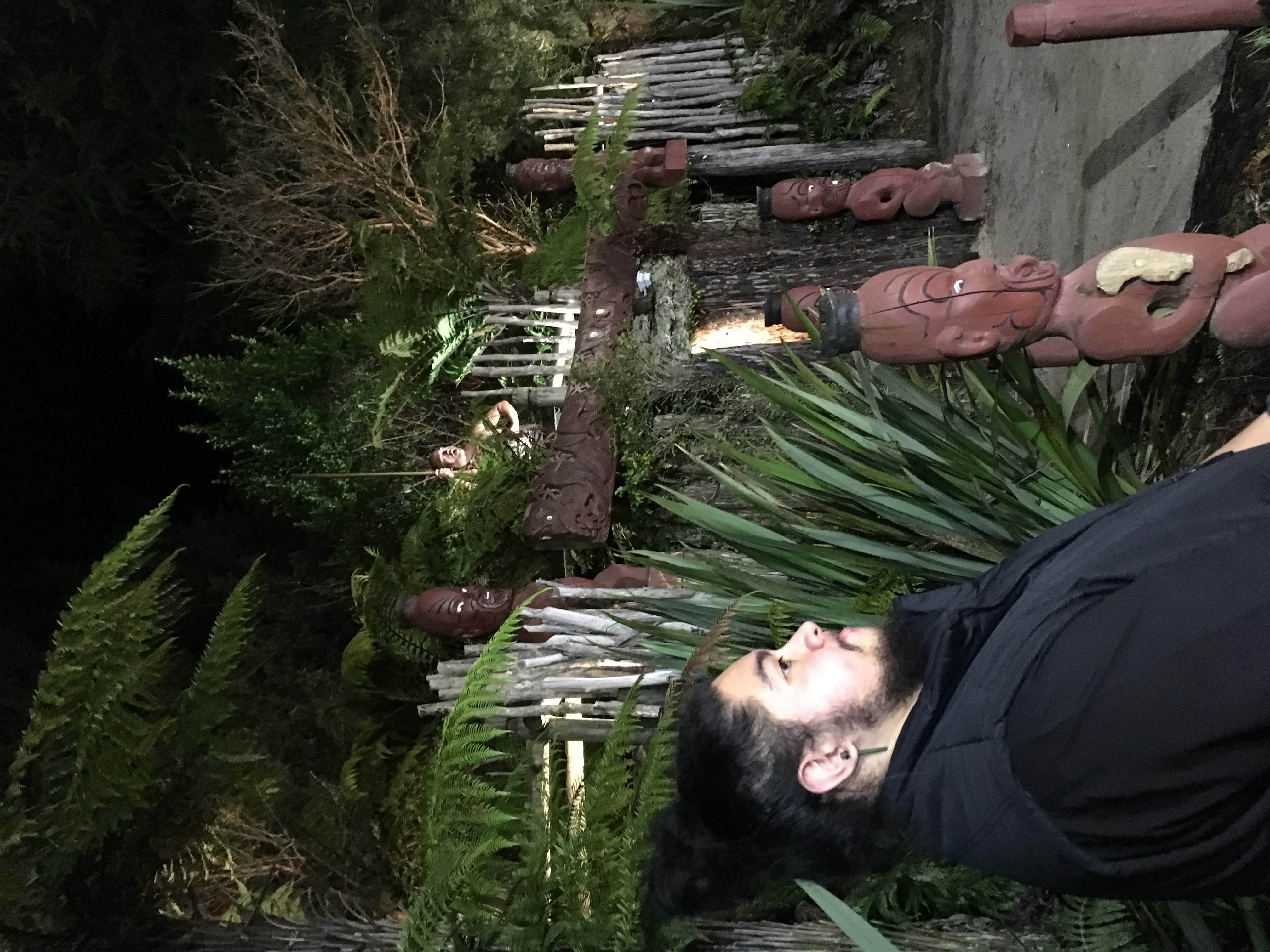 Silver Fern Tour 2017