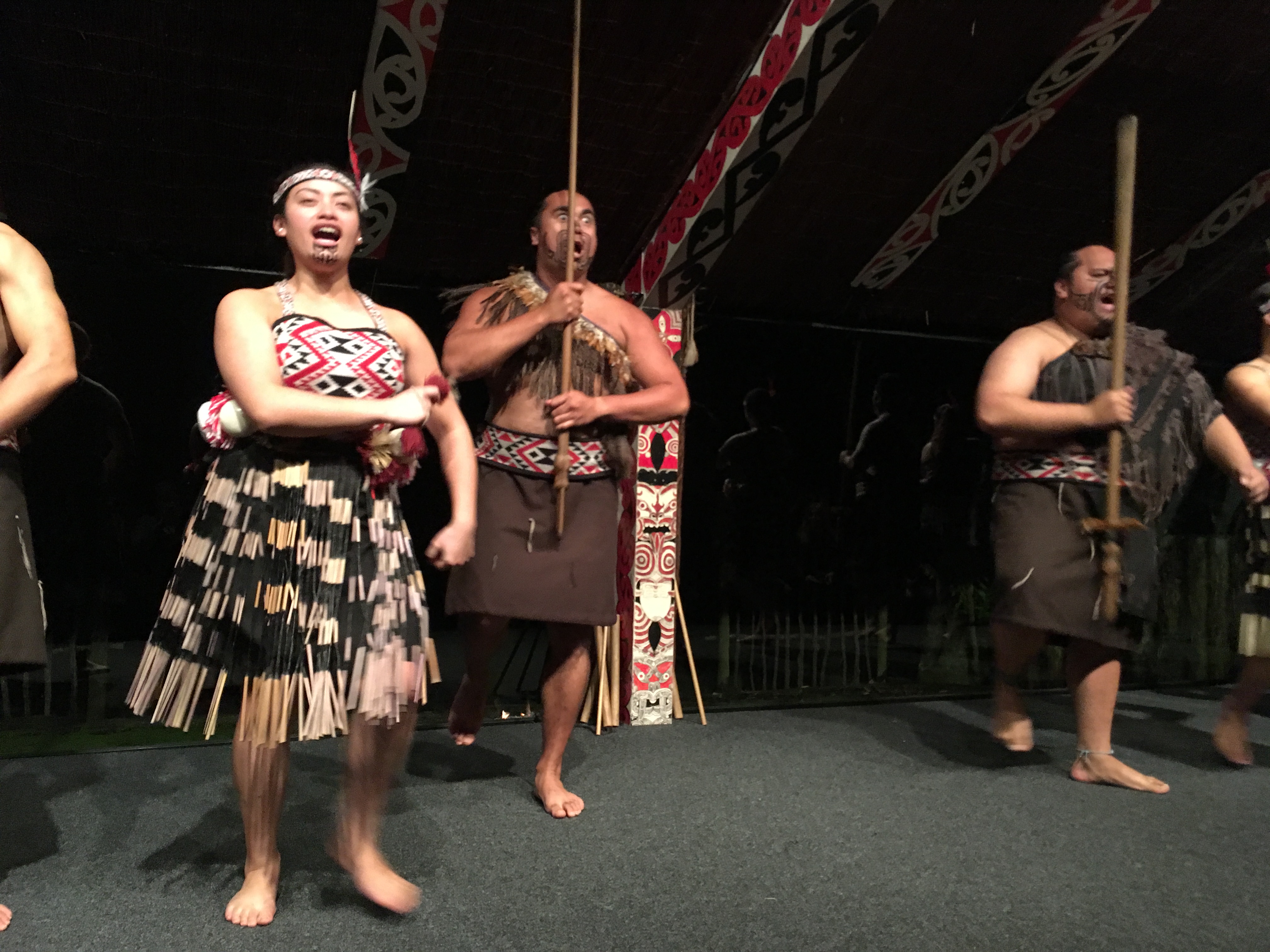 Silver Fern Tour 2017