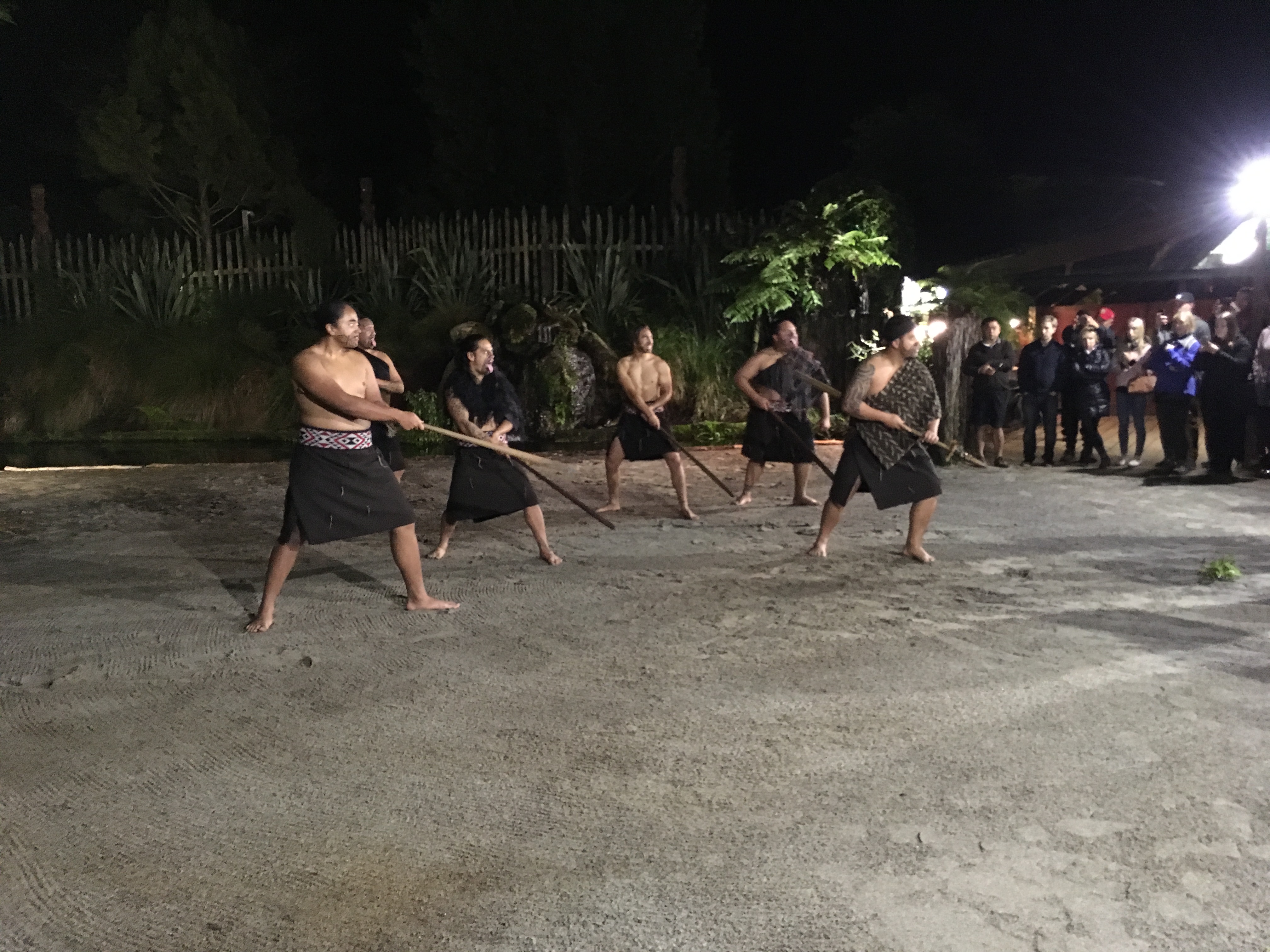 Silver Fern Tour 2017