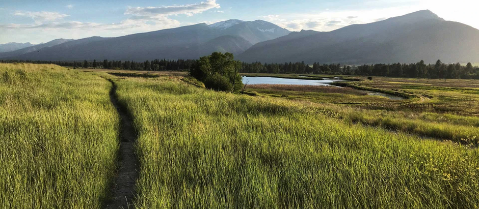Ravalli County real estate sets new records in 2020