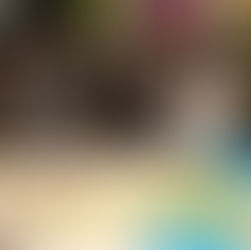 「たべっ子どうぶつLAND CAFE」期間限定オープン！！体験型カフェが全国3都市へ