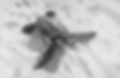 Pencil drawing of a turtle hatchling crossing the sand