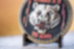 Thumbnail: Wisconsin Law Enforcement Phlebotomy challenge coin