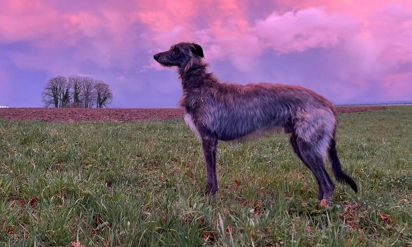 WhatsApp Image 2025-08-26 at 14.00_edited.png