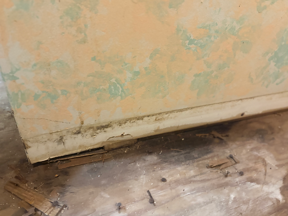 STOP IGNORING THE CRACKS, GAPS, AND WALL SEPARATION