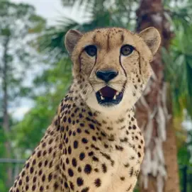 Good Lesson from 2024