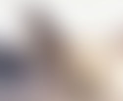 Biome Balancer Study