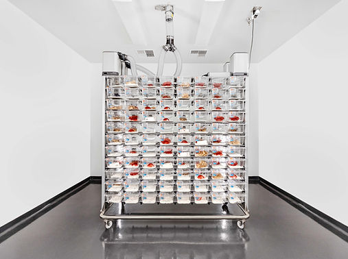 How It Works | Innovive