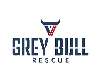 grey bull.jpg
