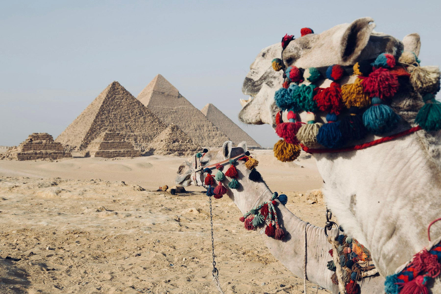 Cairo Day Trip