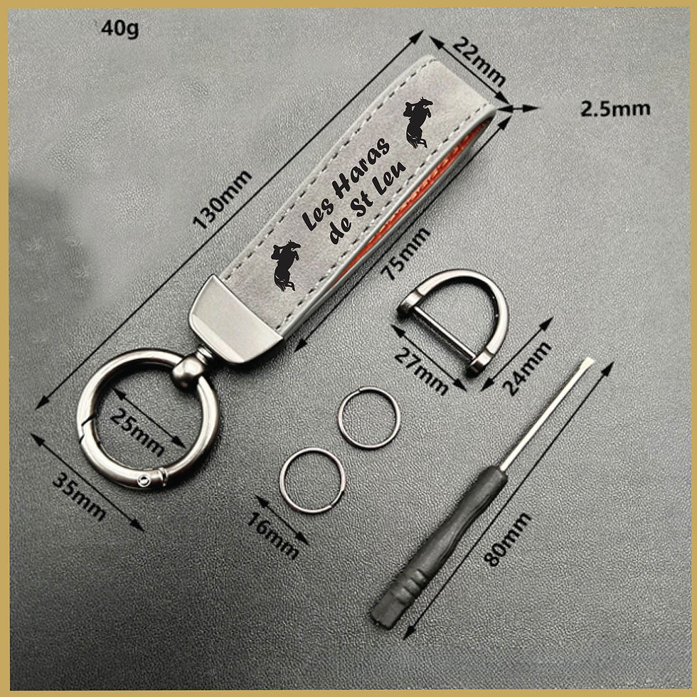 Miniature : PORTE CLEF cuir et métal LES HARAS DE ST LEU