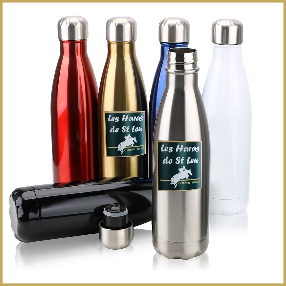 Miniature : GOURDE isotherme acier inoxydable