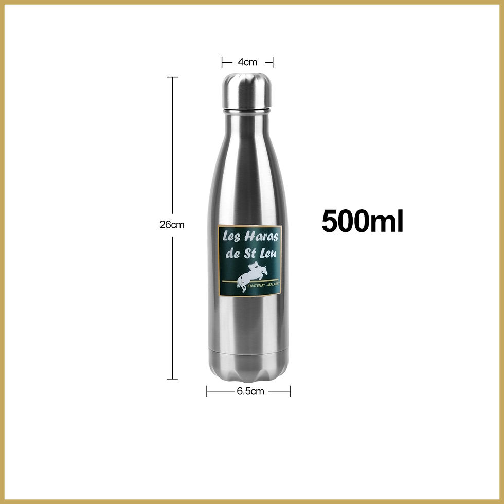 Miniature : GOURDE isotherme acier inoxydable