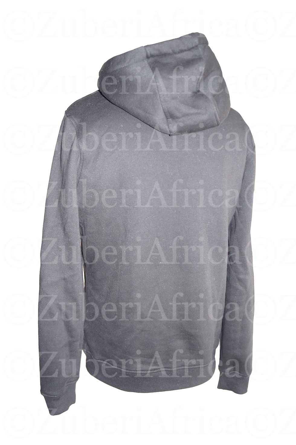 Thumbnail: Pan African Rasta Lion Africa map Hoodie