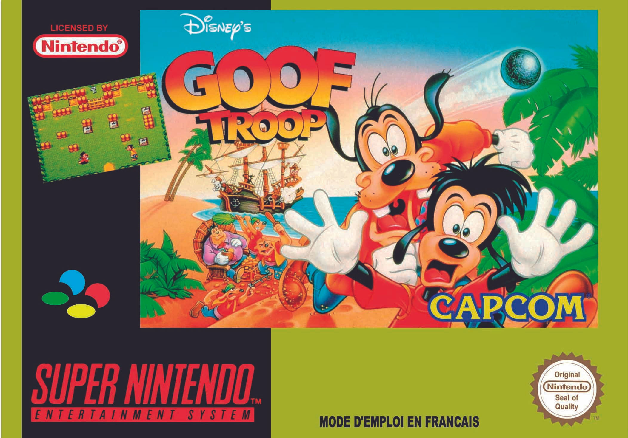 GOOF TROOP SNES (FRA version)
