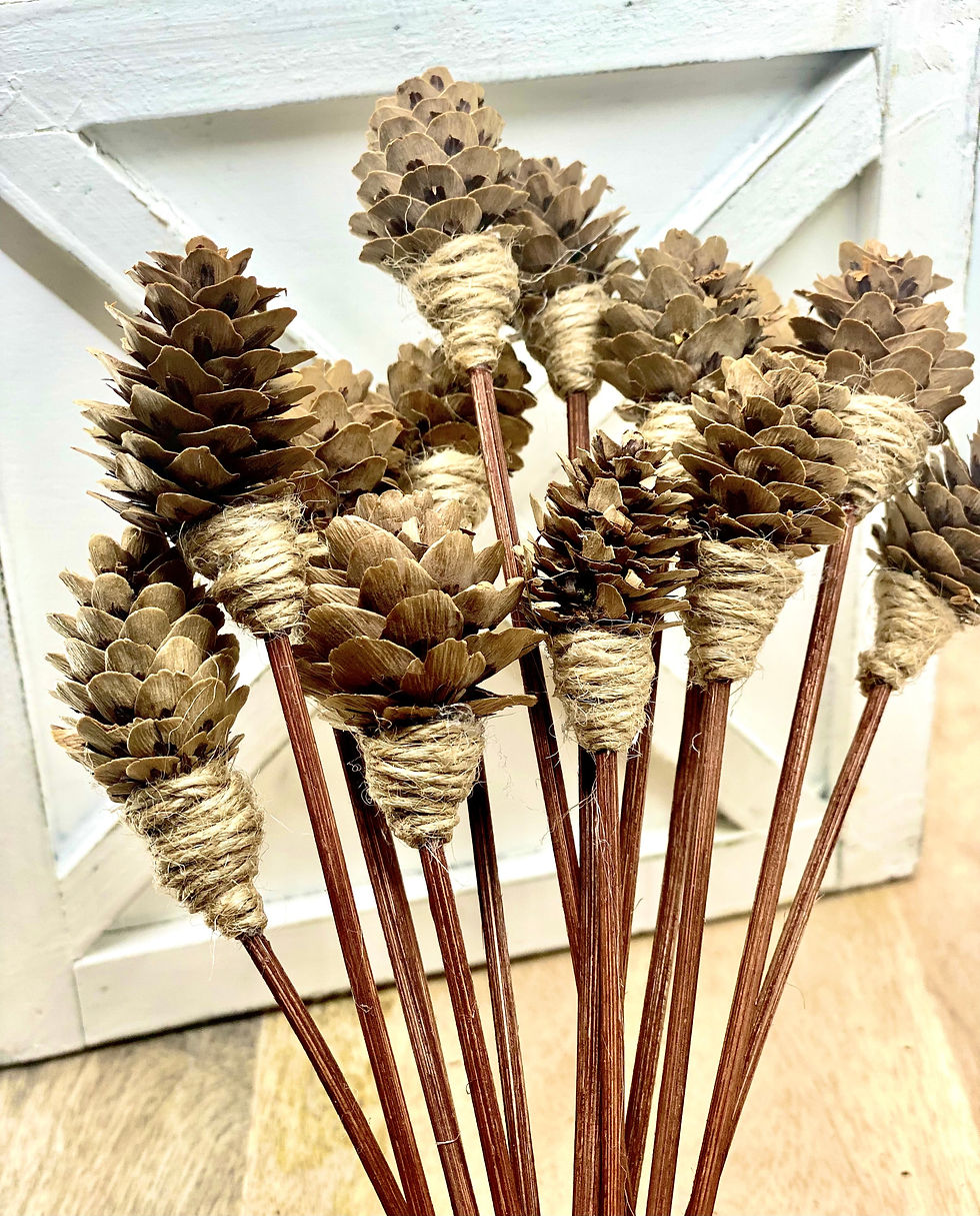 Thumbnail: Mini Pine Cone, 9” Rattan Wood Reed Diffusers Replacement Sticks, 16