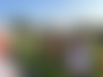 DFB-Stützpunkte Ostsachsens suchen Einschulungskader für 2025