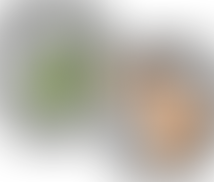 Bestandserhebung 2026, Vereinsmeldebogen und Transferperiode