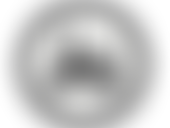 LSV Bergen 1990 e.V.